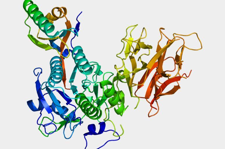 Структура белка PCSK9